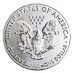 2019 1 oz American Silver Eagle Bullion Coin thumbnail
