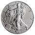 2021 1 oz American Silver Eagle Bullion Coin thumbnail