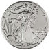 2023 1 oz American Silver Eagle Bullion Coin thumbnail