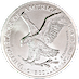 2023 1 oz American Silver Eagle Bullion Coin thumbnail