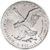 2023 1 oz American Silver Eagle Bullion Coin thumbnail
