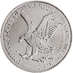 2024 1 oz American Silver Eagle Bullion Coin thumbnail