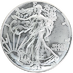 2025 1 oz American Silver Eagle Bullion Coin thumbnail
