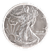 American Silver Eagle 2020 - 1 oz  thumbnail