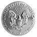 2019 1 oz American Silver Eagle Bullion Coin thumbnail