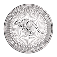 Australian Silver Kangaroos Australian Silver Kangaroos