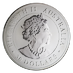 2019 1 Kilogram Australian Silver Koala Bullion Coin thumbnail