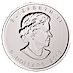 2013 1 oz Canadian Silver Maple Leaf Bullion Coin thumbnail