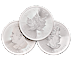 1 oz Canadian Silver Maple Leaf Bullion Coin (Various Years) thumbnail