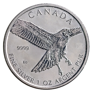2015 1 oz Canadian Red Tailed Hawk Silver Bullion Coin