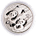 2022 30 Gram Chinese Silver Panda Bullion Coin thumbnail