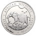 2022 10 oz Somalian Silver Elephant Bullion Coin (Pre-Owned in Good Condition) thumbnail
