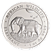 2022 1 oz Somalian Silver Elephant Bullion Coin thumbnail