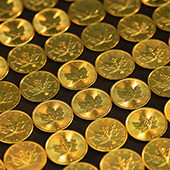 gold maples coins